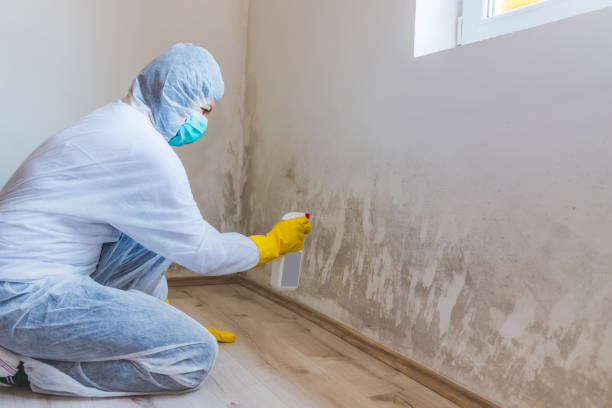 Licensed Mold Remediation service in Coppell, TX - WQB Mold Removal