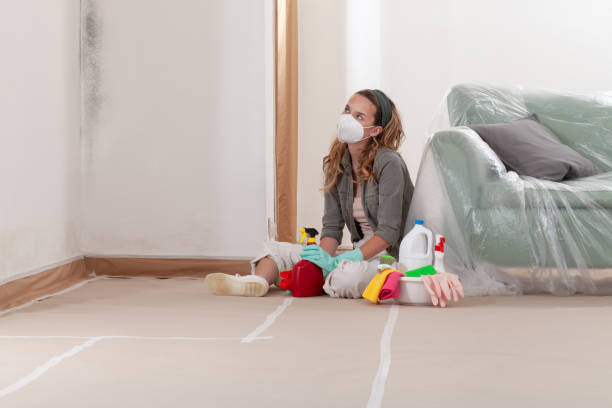 Reliable Mold Remediation contractor in Coppell, TX by WQB Mold Removal